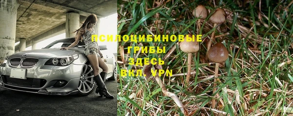 МДМА Горняк