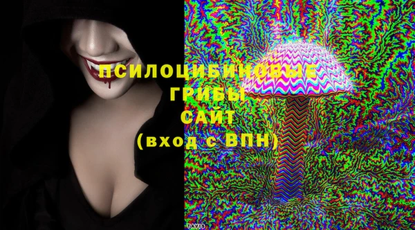ПСИЛОЦИБИНОВЫЕ ГРИБЫ Гусев