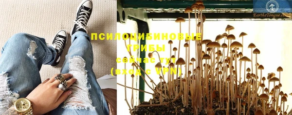 каннабис Гусиноозёрск