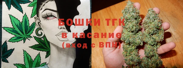 ПСИЛОЦИБИНОВЫЕ ГРИБЫ Гусев