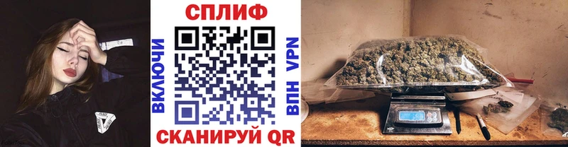 Конопля семена  Ессентуки 